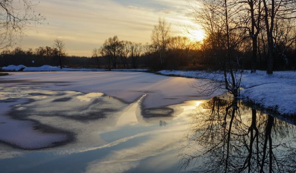 Предзимний пейзаж в городе