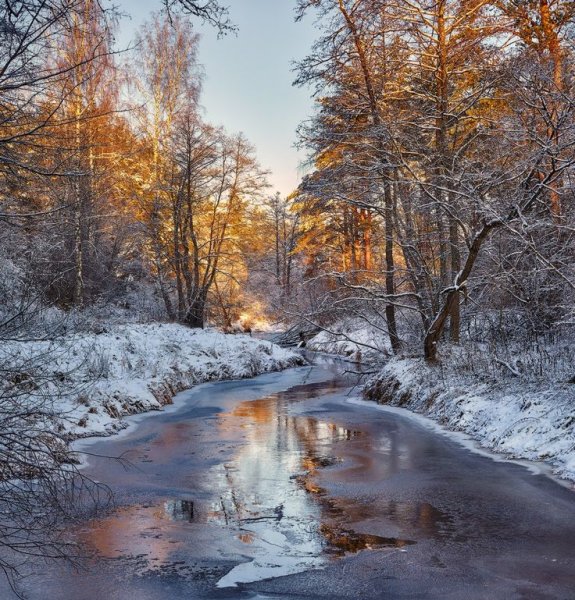 Ранняя зима