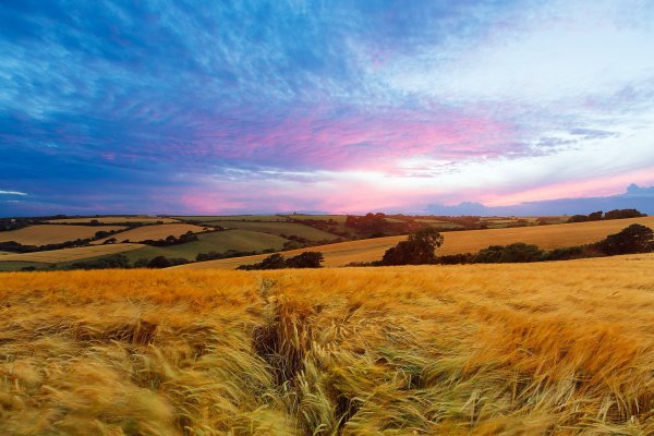 Адыгея Кубанские степи