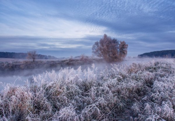 Заморозки природа