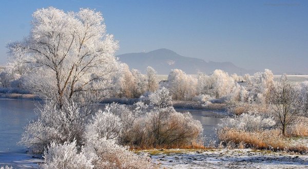 Природа ранняя зима