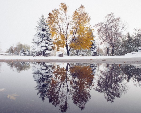 Встреча осени с зимой
