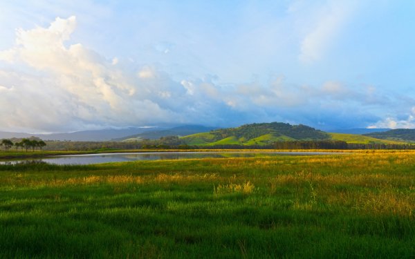 Степь, лесостепь, Алтая