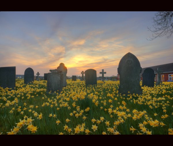 Кладбищенские пейзажи