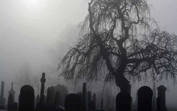 Мрачное кладбище