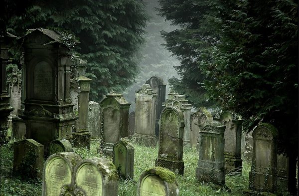 Кладбище фэнтези
