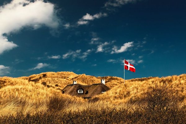 Зиборний Дания