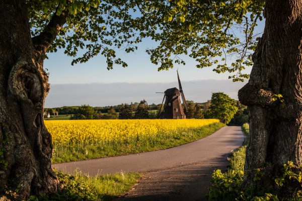 Дания природа пейзажи