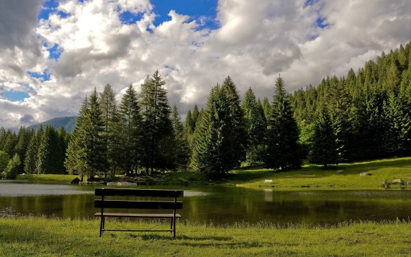 Спокойная природа