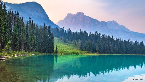 Успокаивающие виды природы