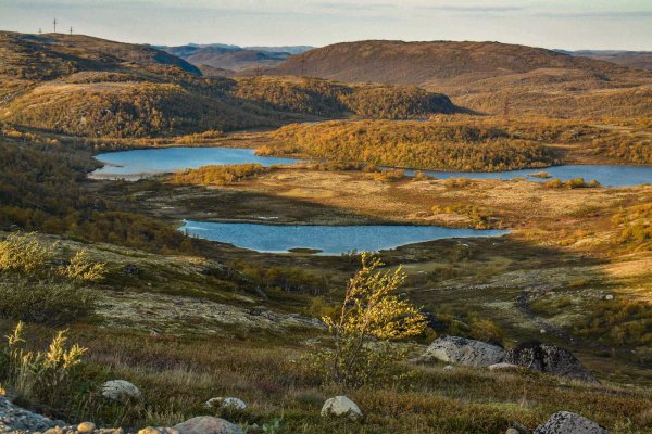 Териберка тундра осенью