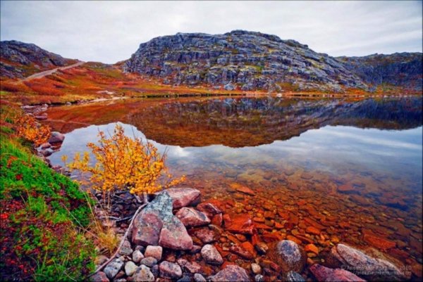 Тундра Мурманск Териберка
