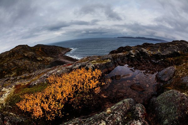Баренцево море Териберка