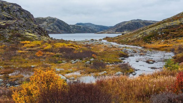 Река Териберка