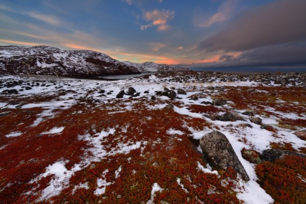 Баренцево море Териберка