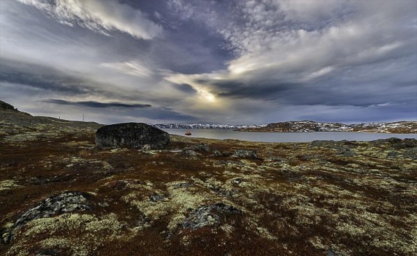 Тундра Мурманск Териберка