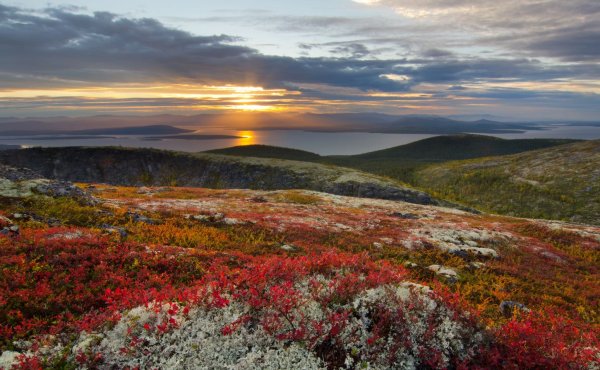 Кольский полуостров море