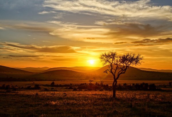 Саванны Хакасии