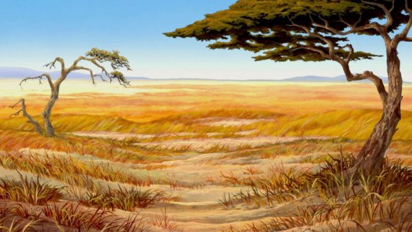 Фон Король Лев Саванна