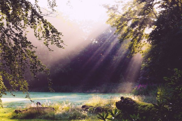 Природа Вдохновение