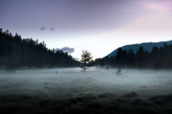 Вдохновляющее фото серый природные