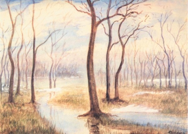 Акварели Чижевского