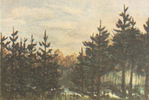 Акварели Чижевского