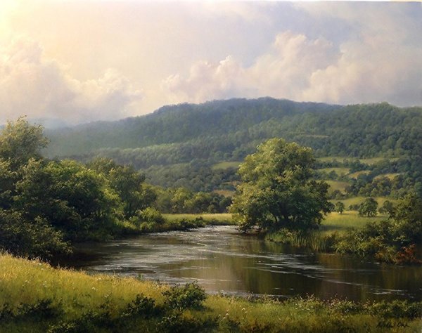 Речка в лесу