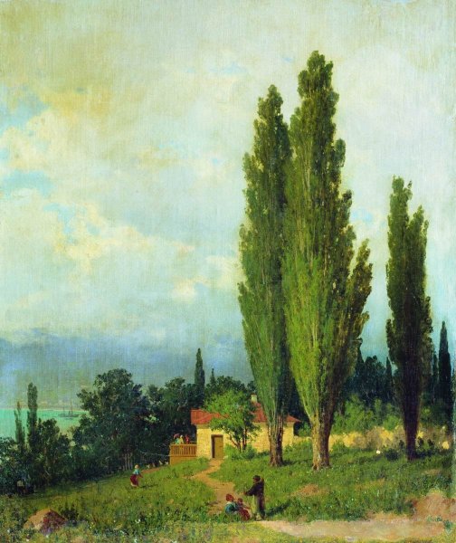 Верещагин Петр Петрович (1834-1886) картины