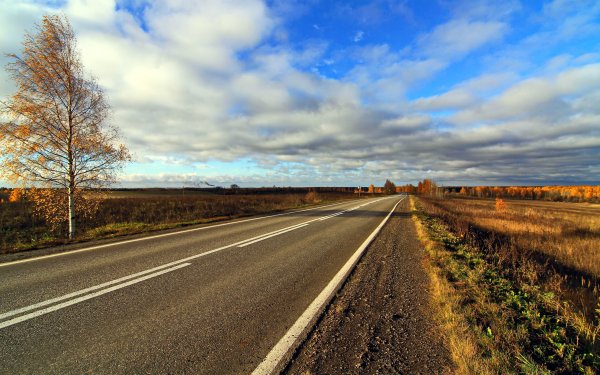 Пейзаж с дорогой