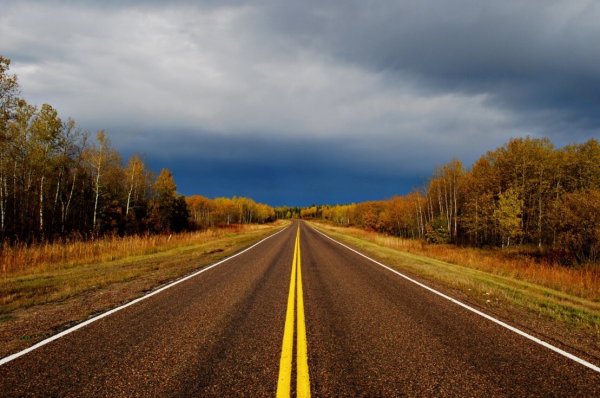 Красивая дорога
