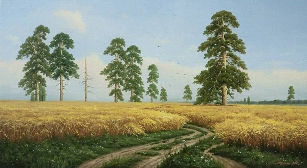 Пейзажи Сергея Басова рожь
