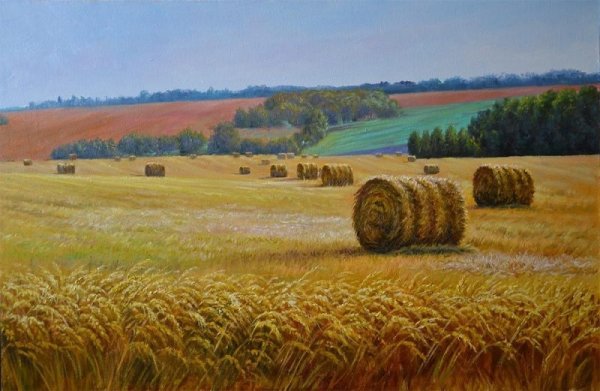 Поле пшеницы