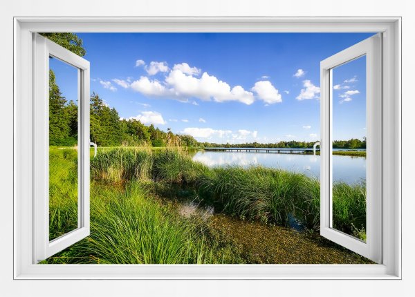 Фотообои окно видом на природу