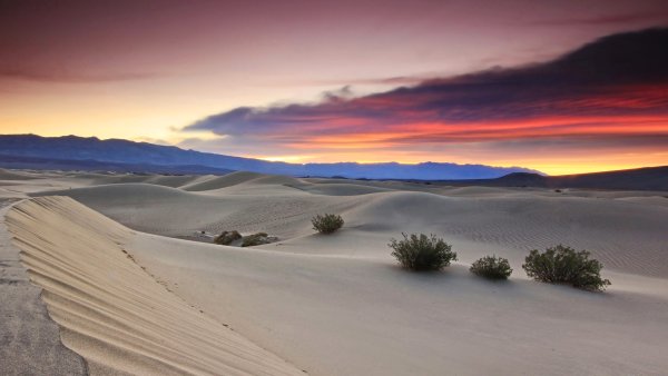 Рассвет в пустыне