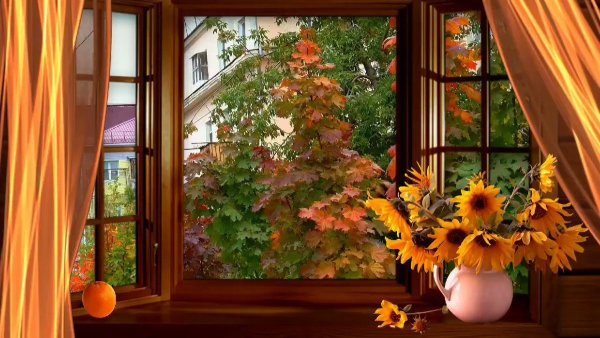 Картина окно