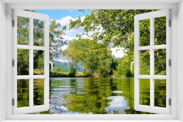 Timothy Easton художник окно