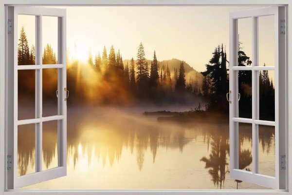 Вид из распахнутого окна