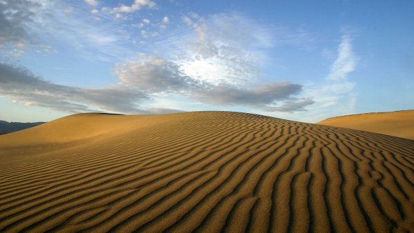 Пустынный Бархан бэкрумс