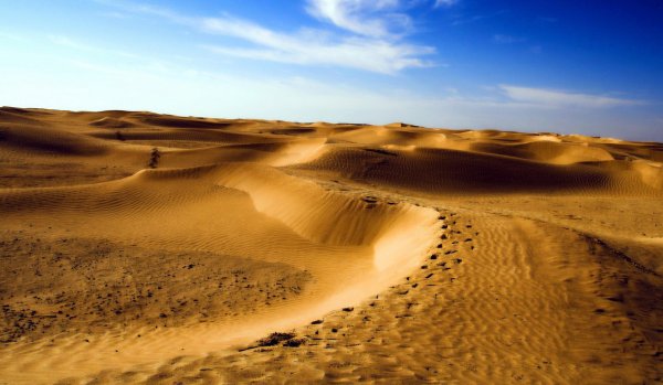 Дюны Барханы грядовые Пески