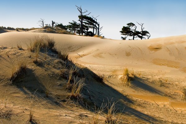 Дюны Карапынар