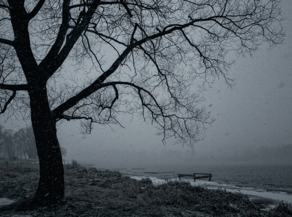 Пейзаж грусть