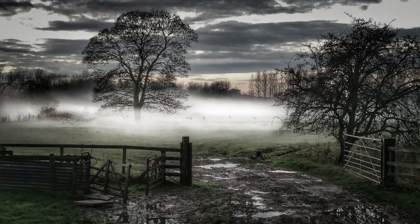 Грустный пейзаж