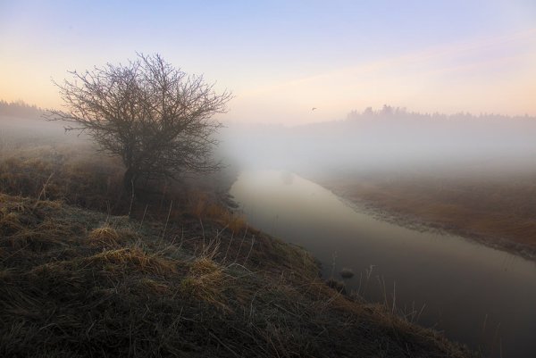 Грустный пейзаж
