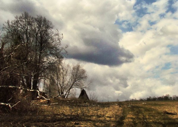 Тоскливый пейзаж