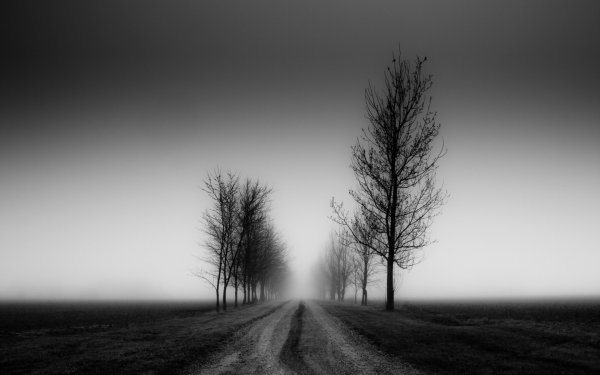 Темный пейзаж