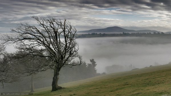 Тоскливый пейзаж