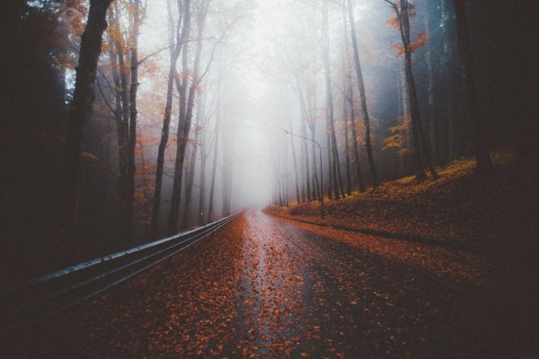 Очень грустный пейзаж