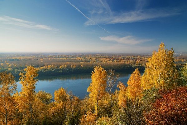 Художник Эдуард Ханнанов