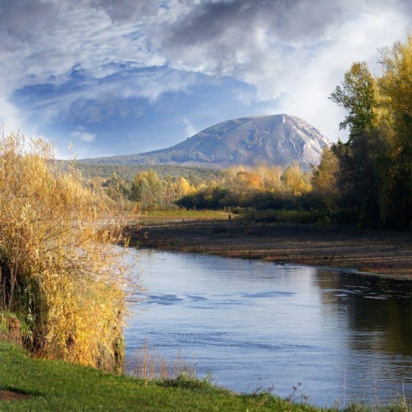 Природа Калачинска